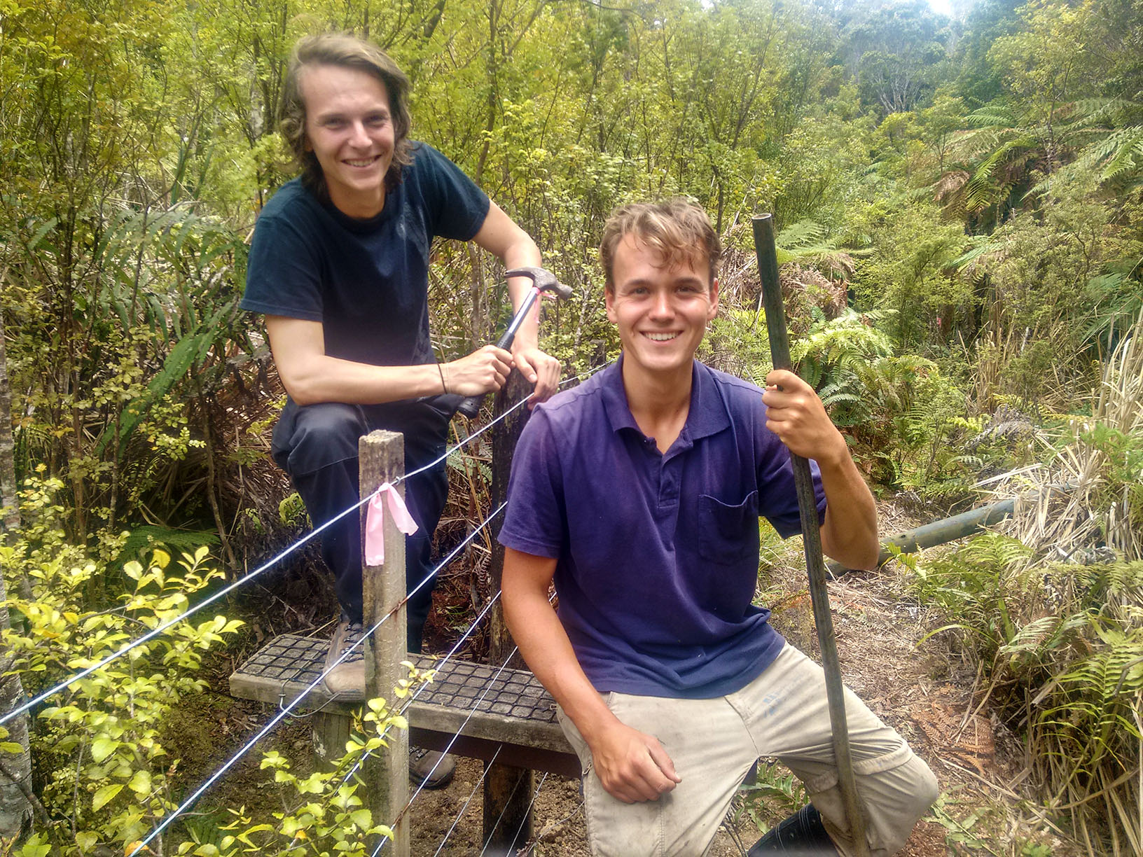AIFS-Freiwilligenarbeit-Neuseeland-Projekt-Rainforest-Conservation-builing-a-stile