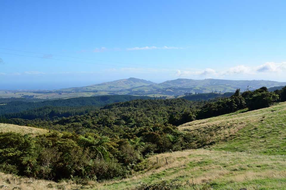 AIFS-Freiwilligenarbeit-Neuseeland-Projekt-Rainforest-Conservation-panorama