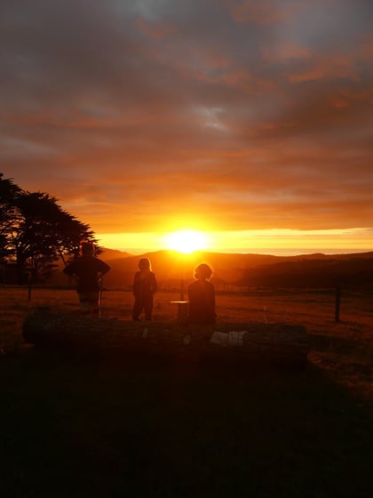 AIFS-Freiwilligenarbeit-Neuseeland-Rainforest-Conservation-Pupu-Rangi-Volunteers-Abend-Sonnenuntergang-Vertikal