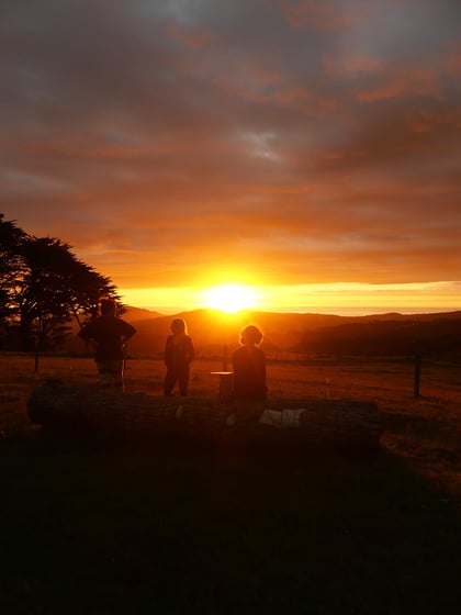 AIFS-Freiwilligenarbeit-Neuseeland-Rainforest-Conservation-Pupu-Rangi-Volunteers-Abend-Sonnenuntergang-Vertikal