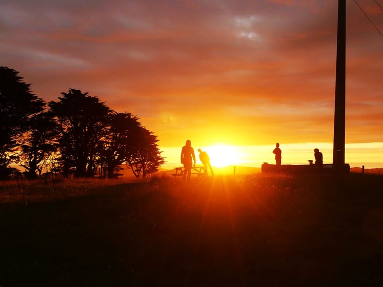 AIFS-Freiwilligenarbeit-Neuseeland-Rainforest-Conservation-Pupu-Rangi-Volunteers-Abend-Sonnenuntergang