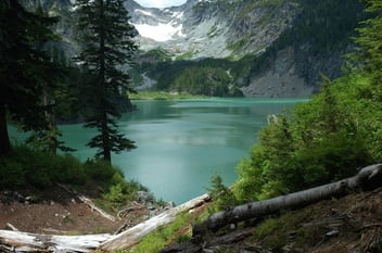 Nature entdecken in den USA