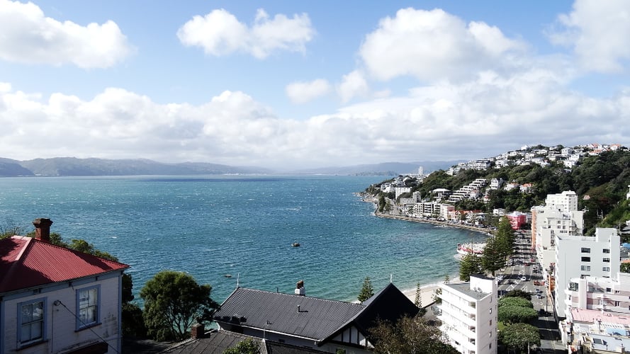 aifs-studieren-in-neuseeland-victoria-university-wellington-meer-ausblick-haeuser-quadratisch-1024x1024