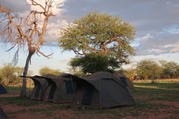 Safari_Campground