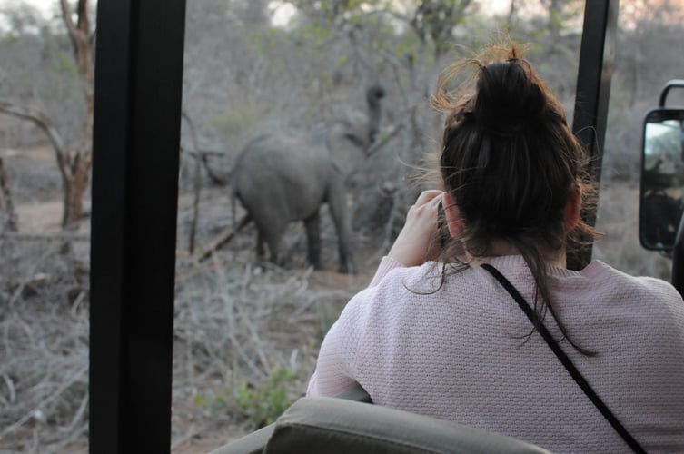 adventure-trip-südafrika-wagen-safari-kruger-nationalpark-fotos-person-elefant-2