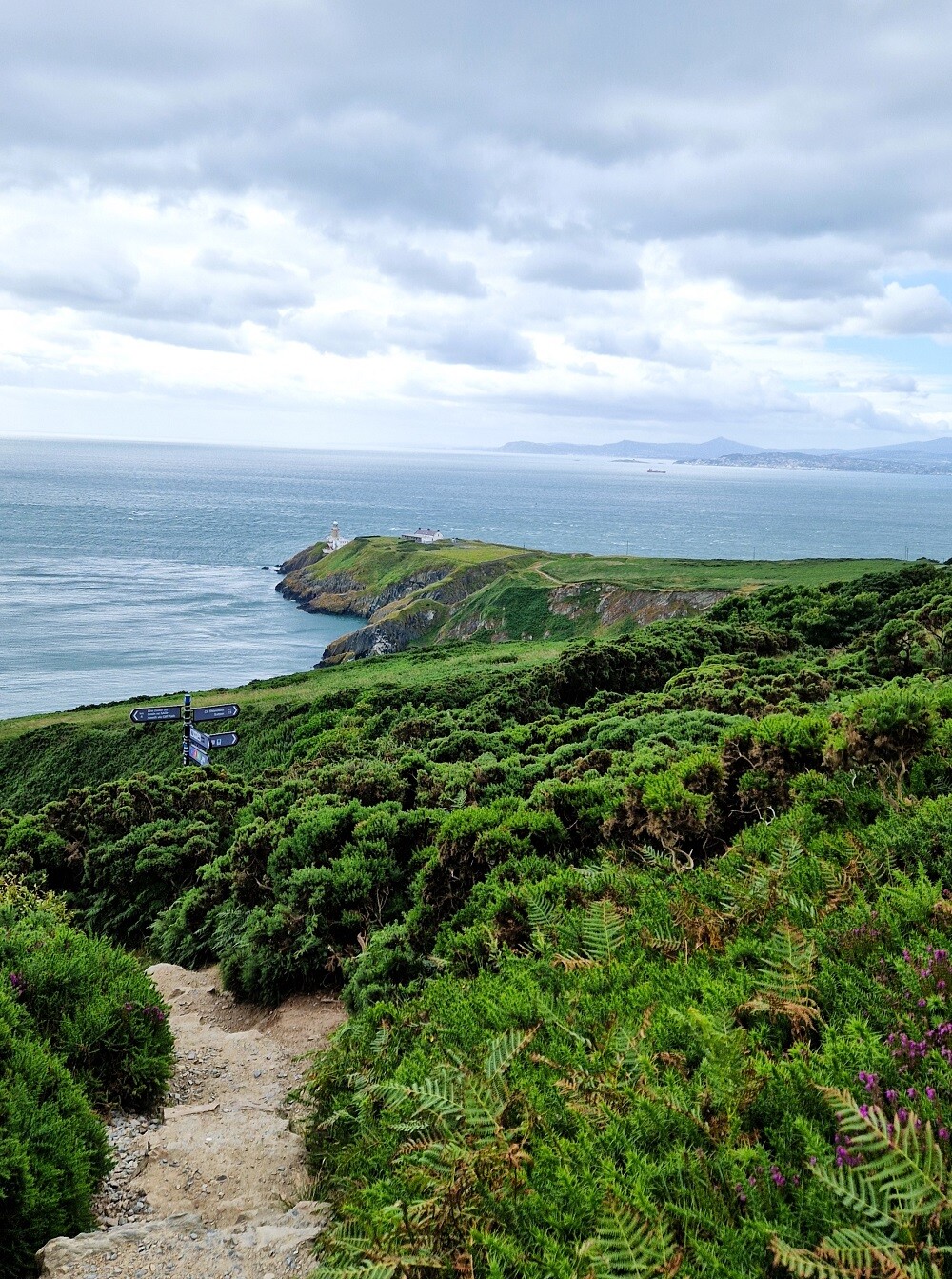 aifs-auslandspraktikum-irland-kueste-howth