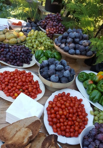 Ernte Obst und Gemüse auf einer Farm in Südafrika mit AIFS
