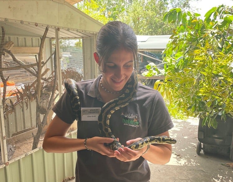 aifs-freiwilligenarbeit-australien-erfahrungen-elina-wildlife-habitat-schlange