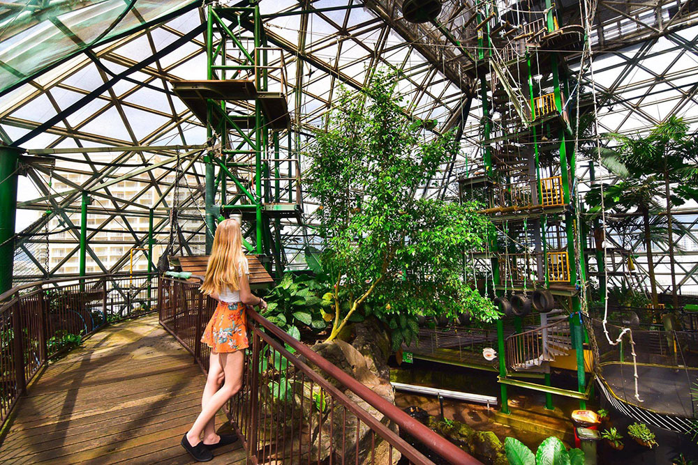 aifs-freiwilligenarbeit-australien-rainforst-station-wildlife-dome-person-drinnen-program-carousel-668x1000