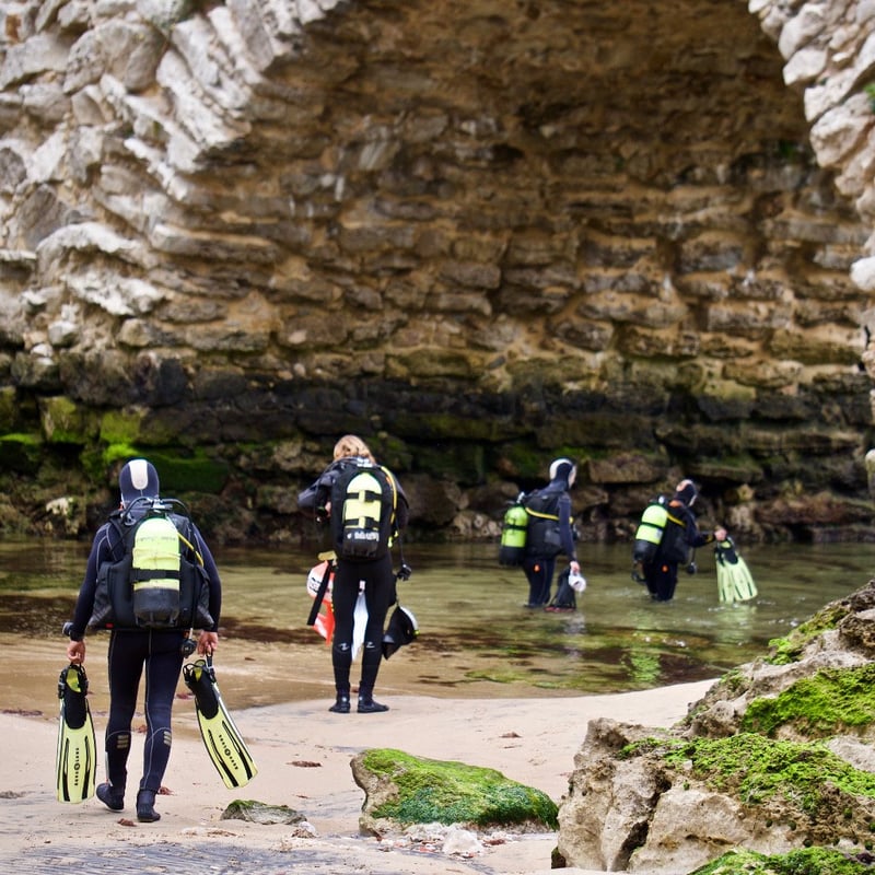 aifs-freiwilligenarbeit-portugal-ocean-conservation-personen-volunteer-taucher-tauchen-ausrüstung-quadratisch-1024x1024