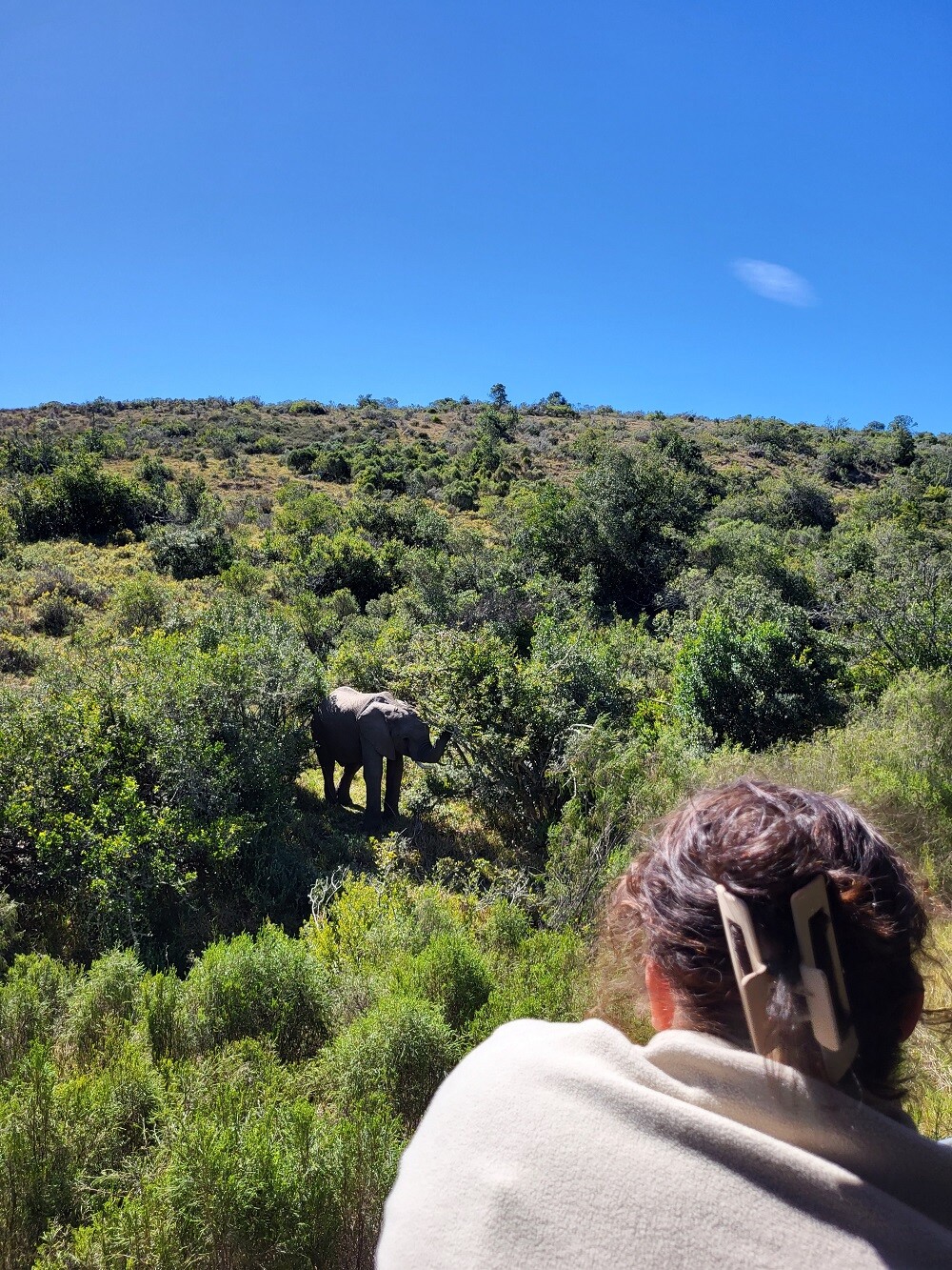 Lenas Erfahrungen beim Freiwilligenprojekt in Südafrika mit AIFS