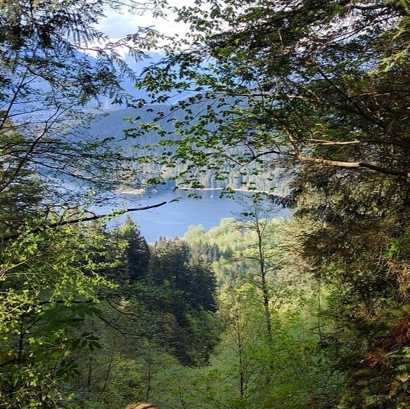 Schüleraustausch in Burnaby, Kanada mit AIFS