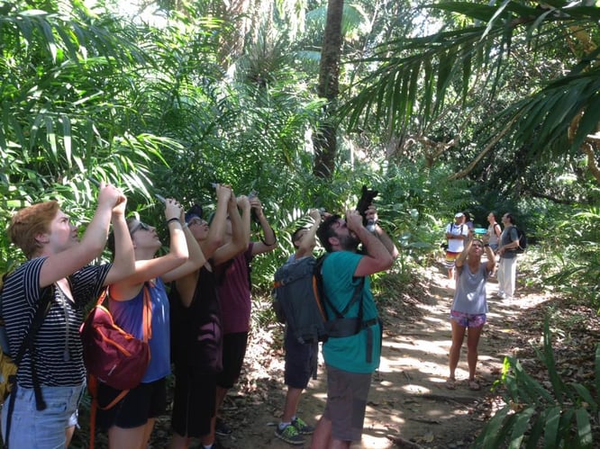 aifs-studieren in costa rica-exkursion-personen