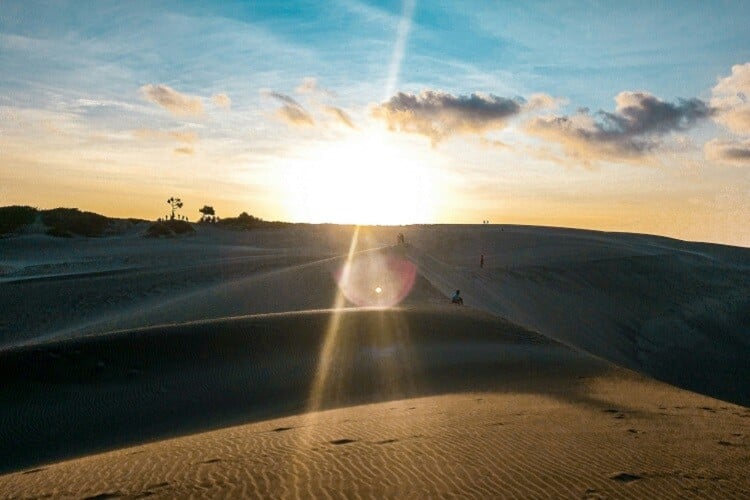 Die Sigatoka Dünen