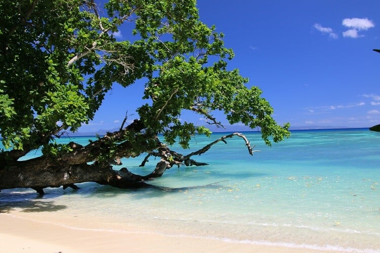 Die Fidschi-Insel Taveuni