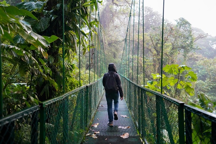 Ein Mensch geht über eine Hängebrücke im Nebelwald Monteverde
