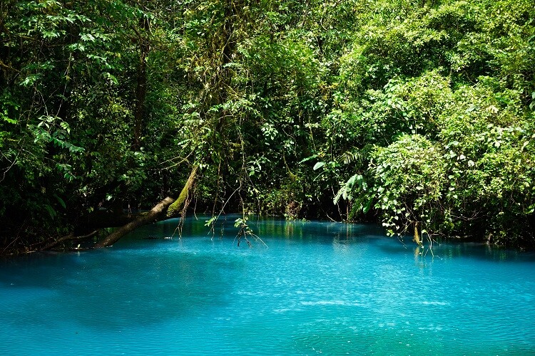 Der Rio Celeste in Costa Rica 